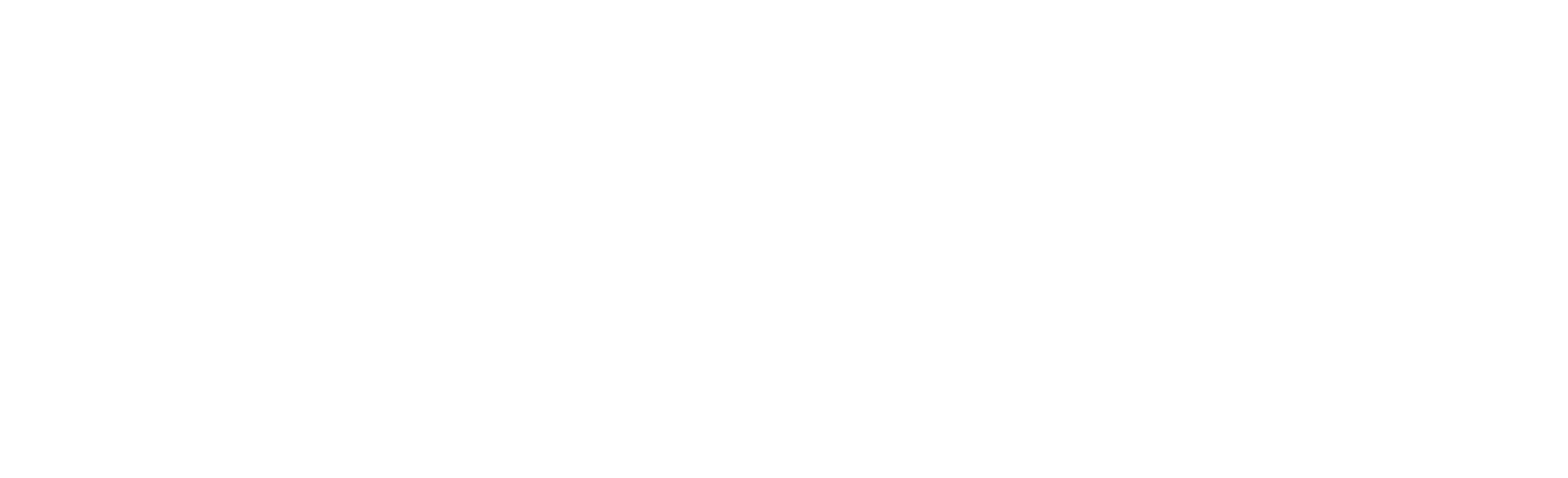 Liquid Rock Dresden Logo